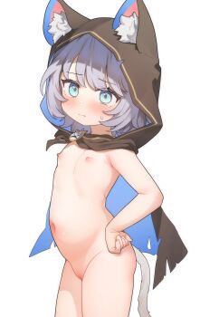 1girl absurdres animal_ears armpit_crease blue_eyes cipher_(honkai:_star_rail) cipher_(in_pursuit_of_the_wind)_(honkai:_star_rail) freehoney grey_hair highres honkai:_star_rail honkai_(series) hood loli navel nipples pussy simple_background solo tail white_background
