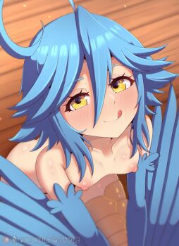 1girl :q ahoge blue_hair blue_wings blush breasts closed_mouth commentary completely_nude cowboy_shot feathered_wings hair_between_eyes harpy highres huge_ahoge leaning_forward long_bangs looking_at_viewer mischiefmiz monster_girl monster_musume_no_iru_nichijou nipples nude papi_(monster_musume) short_hair small_breasts smile solo symbol-only_commentary tongue tongue_out wings yellow_eyes