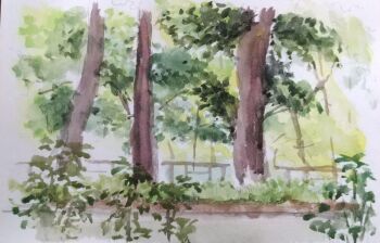 absurdres bush commentary_request day fence grass harusa1107 highres nature no_humans original painting_(medium) path plant road scenery sketch traditional_media tree unfinished watercolor_(medium)