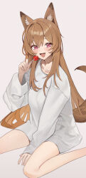 Rule 34 | 1girl, absurdres, animal ears, arknights, bare legs, blush, brown hair, candy, ceobe (arknights), collarbone, dog ears, dog girl, dog tail, fang, feet out of frame, fingernails, food, highres, holding, holding candy, holding food, holding lollipop, lollipop, long hair, looking at viewer, no pants, num s1x, oversized clothes, oversized shirt, red eyes, shirt, simple background, smile, solo, straight hair, tail, very long hair, white shirt