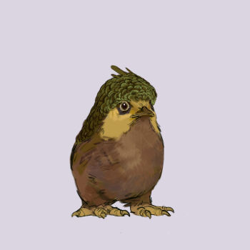 absurdres bird full_body gen_3_pokemon highres mannimarcos nintendo pokemon pokemon_(creature) seedot simple_background white_background yellow_eyes