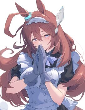 Rule 34 | 1girl, absurdres, ahoge, animal ears, apron, black dress, blue eyes, blush, bow, breasts, brown hair, dress, frilled headband, gloves, grey gloves, hair between eyes, hair ornament, hairband, headband, highres, horse ears, horse girl, horse tail, large breasts, long hair, looking at viewer, maid, maid apron, mihono bourbon (umamusume), puffy short sleeves, puffy sleeves, short sleeves, simple background, solo, tail, umamusume, upper body, white apron, white background, white bow, white headband, yuuri (sinjitu-no-yukue)