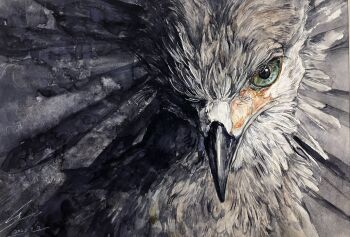 Rule 34 | animal, animal focus, bird, close-up, commentary request, hawk, highres, no humans, original, painting (medium), takahashi shion, traditional media, watercolor (medium)