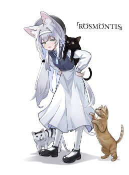 1girl :d absurdres animal animal_ear_fluff animal_ears arknights black_cat black_shoes black_vest brown_cat cai_ling cat character_name chinese_commentary commentary_request full_body green_eyes grey_hair hairband hands_on_own_hips highres leaning_forward long_hair long_sleeves multiple_cats open_mouth pantyhose rosmontis_(arknights) shirt shoes simple_background skirt smile solo standing vest white_background white_cat white_hairband white_pantyhose white_shirt white_skirt