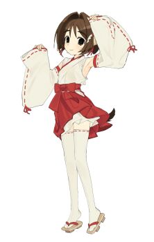 Rule 34 | 1girl, animal ears, brown eyes, brown hair, commentary, detached sleeves, dog ears, dog girl, dog tail, geta, highres, indie virtual youtuber, mole, mole on cheek, mota (motaberrie), motaberrie (vtuber), nontraditional miko, ribbon-trimmed sleeves, ribbon trim, sandals, sleeves past wrists, smile, sweat, symbol-only commentary, tail, thighhighs, white background, white thighhighs, wide sleeves