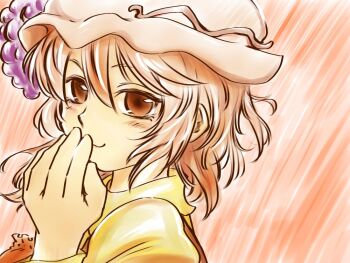 Rule 34 | 1girl, aki minoriko, apron, blonde hair, blush, brown apron, brown eyes, closed mouth, commentary request, covering own mouth, double-parted bangs, floating hair, grape hat ornament, hair between eyes, hand over own mouth, hat, long sleeves, looking at viewer, medium hair, mob cap, nunnun (shunka shuutou), one-hour drawing challenge, pink background, puffy long sleeves, puffy sleeves, shirt, simple background, smile, solo, touhou, upper body, white hat, yellow shirt