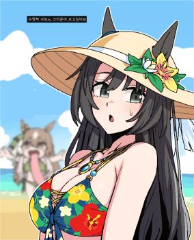 2girls :o animal_ears beach bikini black_eyes blue_sky blurry blurry_background breasts brown_hair brown_hat cleavage cloud commentary_request day ear_ornament floral_print floral_print_bikini flower formicid freaky_satono_diamond_(meme) front-tie_bikini_top front-tie_top green_bikini hair_between_eyes hat hat_flower hat_ribbon horse_ears horse_girl jewelry korean_commentary korean_text large_breasts long_hair long_tongue looking_at_viewer meme multiple_girls necklace ocean open_mouth outdoors outstretched_arms print_bikini ribbon satono_crown_(sunny_island_splendor)_(umamusume) satono_crown_(umamusume) satono_diamond_(umamusume) sky spread_arms sweatdrop swimsuit tongue tongue_out translation_request umamusume upper_body very_long_tongue white_flower white_hair white_ribbon yellow_flower