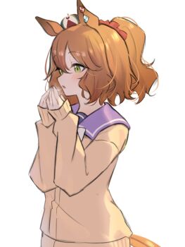 1girl animal_ears aston_machan_(umamusume) brown_cardigan brown_hair cardigan crown from_side green_eyes highres horse_ears horse_girl horse_tail katuko_deluxe long_sleeves medium_hair open_mouth ponytail purple_sailor_collar sailor_collar school_uniform simple_background solo tail tracen_school_uniform umamusume warming_hands white_background