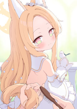 1girl 1other animal_ears azel_(laevateinn495) backless_dress backless_outfit bird bird_on_hand blonde_hair blue_archive blush brushing_hair capelet closed_mouth detached_sleeves dress flower forehead fox_ears fox_girl gold_trim hair_flower hair_ornament halo highres holding holding_brush long_hair long_sleeves looking_at_viewer looking_back pink_eyes pov pov_hands seia_(blue_archive) smile very_long_hair white_capelet white_dress white_flower yellow_halo