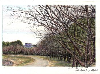 absurdres baden_hiroshi bare_tree border colored_pencil_(medium) commentary_request dated day highres no_humans original outdoors overcast path road scenery sky traditional_media tree white_border