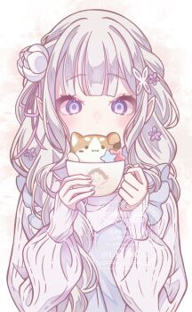 1girl blunt_bangs blush braid cat cup emilia_(re:zero) flower grey_hair hair_flower hair_ornament hair_ribbon highres holding holding_cup lily_00715 long_hair long_sleeves looking_at_viewer pointy_ears purple_eyes purple_ribbon re:zero_kara_hajimeru_isekai_seikatsu ribbon solo sweater teacup upper_body white_flower white_hair