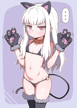 ... 1girl absurdres animal_collar animal_ears animal_hands belt_collar bikini black_bikini blush breasts cat_ears closed_mouth collar cowboy_shot fake_animal_ears female_focus fire_emblem fire_emblem:_three_houses flat_chest gloves hands_up highres legs_together loli long_hair looking_at_viewer lysithea_von_ordelia navel nintendo paw_gloves pink_eyes simple_background small_breasts solo speech_bubble spoken_ellipsis standing swimsuit tail thighhighs wagashi_(dagashiya) white_hair