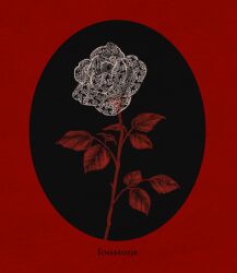 Rule 34 | artist name, black background, border, commentary, english commentary, flower, flower focus, fouatons, highres, lace, leaf, limited palette, no humans, original, red background, rose, round border, simple background, thorns, two-tone background, white flower, white rose