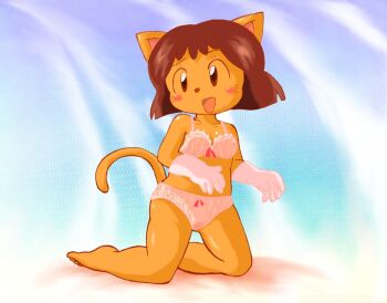 1girl animal animal_ears barefoot blue_background blush blush_stickers bow bow_bra bow_panties bra breasts brown_eyes brown_hair cat cat_ears cat_girl cat_tail cleavage collarbone furry gloves kaiketsu_zorori kinpiro kneeling lace lace-trimmed_bra lace_trim looking_to_the_side open_mouth orange_fur panties princess_elzie raised_eyebrow red_bow short_hair small_breasts smile tail underwear white_bra white_gloves white_panties