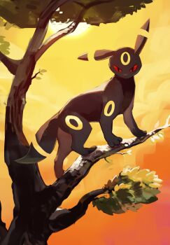 animal_focus black_eyes chufflepop colored_sclera commentary english_commentary gen_2_pokemon highres leaf looking_at_viewer nintendo no_humans pokemon pokemon_(creature) red_sclera solo sun tree umbreon