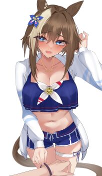 Rule 34 | 1boy, 1girl, absurdres, animal ears, bikini, bikini shorts, blue bikini, blue eyes, blue swim trunks, blush, braid, breasts, brown hair, cheval grand (summer calm navy drop) (umamusume), cheval grand (umamusume), cleavage, commentary, english commentary, hair between eyes, half up braid, half up half down braid, highres, horse ears, horse girl, horse tail, jacket, large breasts, long sleeves, looking at viewer, multicolored hair, navel, official alternate costume, official alternate hairstyle, open clothes, open jacket, open mouth, pov, pov hands, short hair, short hair with long locks, shorts, sidelocks, simple background, skindentation, stomach, streaked hair, sweat, swimsuit, tail, thigh gap, thigh strap, umamusume, white background, white jacket, white streaks, xkittyzx