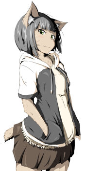 Rule 34 | 1girl, animal ears, blunt bangs, cat ears, cat girl, cat tail, female focus, furry, furry female, green eyes, hands in pockets, hood, hoodie, looking at viewer, shi yusu, simple background, skirt, smile, solo, tail, whiskers, white background
