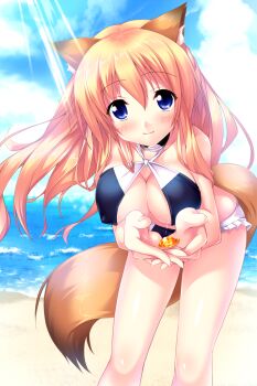 1girl animal_ears bare_arms bare_legs beach bent_over bikini blonde_hair blue_bikini blue_eyes blush breasts cleavage covered_erect_nipples dog_ears dog_tail game_cg halterneck highres large_breasts looking_at_viewer outdoors piromizu sakura-iro_quartet smile solo swimsuit tail thighs ui_(sakura-iro_quartet)