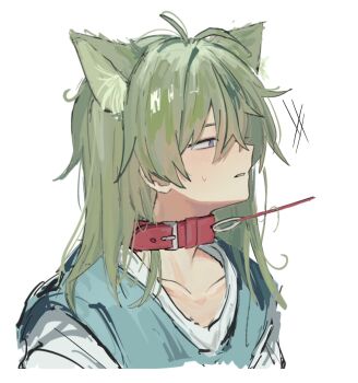 animal_collar animal_ears aqua_tunic cat_boy cat_ears collar dragon_quest dragon_quest_iv green_hair grey_eyes hair_between_eyes hero_(dq4) highres kemonomimi_mode leash leash_pull light_blush long_hair parted_lips shirt sketch sweatdrop tunic upper_body white_background white_shirt y_hcei10