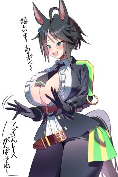 1girl :d absurdres ahoge alternate_breast_size_(larger) animal_ears belt black_gloves black_hair black_jacket black_necktie black_pants blue_eyes breasts brown_belt center_frills center_opening closed_mouth collared_shirt commentary_request frilled_shirt frills fuji_kiseki_(shooting_star_revue)_(umamusume) fuji_kiseki_(umamusume) gloves grey_hair highres horse_ears horse_girl horse_tail huge_breasts jacket long_sleeves multicolored_hair necktie open_clothes open_jacket open_mouth pants shirt simple_background smile smoke_klll solo tail translation_request two-tone_hair umamusume underbust white_background white_shirt wing_collar