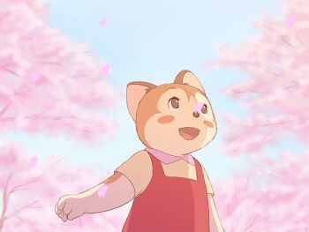 1girl animal animal_ears animated animated_gif blush blush_stickers brown_eyes brown_fur cat cat_ears cat_girl cherry_blossoms dress furry fuusen_no_doratarou looking_up open_mouth petals red_dress sakura_(fuusen_no_doratarou) shirt short_sleeves sky sleeveless sleeveless_dress smile spring_(season) standing tree yamanokonza yellow_shirt