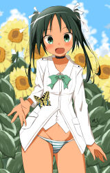 Rule 34 | 1girl, black choker, black hair, blurry, blurry background, bow, bug, butterfly, choker, cloud, collarbone, day, facing viewer, fang, female focus, flower, francesca lucchini, green eyes, hair ribbon, insect, long hair, military, military uniform, nasutane, open mouth, outdoors, panties, ribbon, shirt, sky, solo, standing, strike witches, striped clothes, striped panties, sunflower, underwear, uniform, world witches series