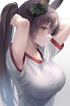 1girl absurdres animal_ears arms_up breasts brown_eyes brown_hair collarbone gym_uniform hair_between_eyes hair_ornament hands_in_own_hair hibimaru highres horse_ears horse_girl large_breasts long_hair ponytail satono_diamond_(umamusume) shirt short_sleeves simple_background solo umamusume upper_body very_long_hair white_background white_shirt