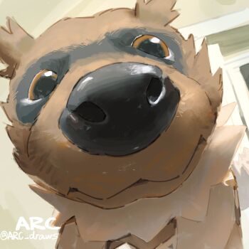 arc_draws brown_eyes close-up closed_mouth commentary gen_3_pokemon highres looking_at_viewer looking_down nintendo no_humans pokemon pokemon_(creature) pokemon_focus signature solo symbol-only_commentary twitter_username zigzagoon