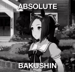 Rule 34 | 1girl, absolute cinema (meme), animal ears, animated, english text, hand up, horse ears, horse girl, meme, monochrome, outdoors, ponytail, sakura bakushin o (umamusume), solo, tagme, third-party edit, umamusume, video
