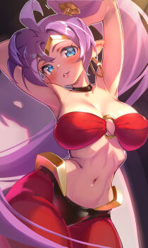 Rule 34 | 1girl, armpits, breasts, highres, large breasts, life is pi, long hair, pointy ears, ponytail, shantae, shantae (series), solo, very long hair
