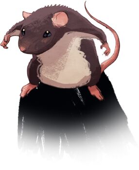 Rule 34 | angela he, animal focus, claw pose, fighting stance, full body, looking at viewer, mouse (animal), no humans, non-web source, official art, outstretched arms, painterly, shadow, stop burying me alive beautiful!, transparent background