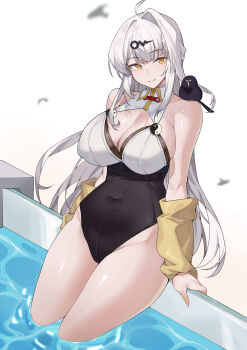 1girl absurdres adapted_costume ahoge animal animal_on_shoulder bird bird_on_shoulder black_one-piece_swimsuit breasts chinese_commentary cleavage commentary_request crow highres large_breasts long_hair one-piece_swimsuit partially_submerged pool single_hair_intake smile solo swimsuit thighs very_long_hair white_hair yellow_arm_warmers yixuan_(zenless_zone_zero) yu-ting_rainplus zenless_zone_zero