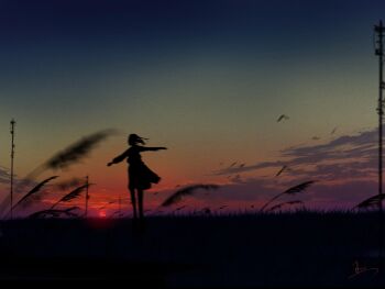 1girl absurdres bird cloud cloudy_sky commentary_request evening floating_clothes floating_hair gradient_sky highres huashijw long_skirt original scenery short_hair skirt sky solo sunset twilight utility_pole wheat_field