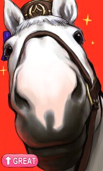 absurdres animal_ears artrextino bow bridle brown_hat close-up ear_bow gold_ship_(racehorse) gold_ship_(umamusume) grey_hair hat highres horse horse_ears looking_at_viewer mood_(umamusume) pillbox_hat purple_bow real_life sparkle umamusume