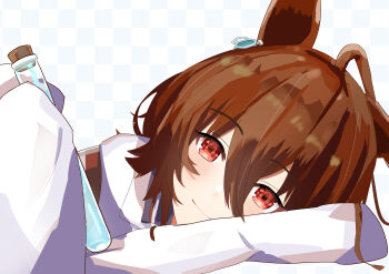 1girl absurdres agnes_tachyon_(tach-nology)_(umamusume) agnes_tachyon_(umamusume) ahoge animal_ears chemical_structure closed_mouth coat cork ear_ornament earrings hair_between_eyes hair_ribbon head_on_arm head_on_table head_tilt highres holding holding_test_tube horse_ears horse_girl jewelry long_sleeves looking_at_viewer red_eyes ribbon shimanami_setsuka single_ear_down single_earring sleeves_past_fingers sleeves_past_wrists smile solo test_tube umamusume white_coat