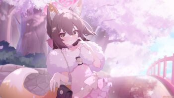 Rule 34 | 1girl, absurdres, animal ears, blue archive, brown hair, cherry blossoms, dress, exusiai dust, fox ears, fox girl, fox tail, fur-trimmed dress, fur trim, halo, highres, izuna (blue archive), izuna (dress) (blue archive), looking at viewer, medium hair, official alternate costume, outdoors, pink dress, pink halo, revision, solo, tail, yellow eyes