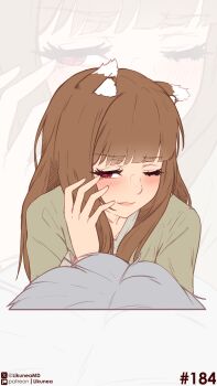 1boy 1girl absurdres animal_ear_fluff animal_ears blush brown_hair closed_mouth commentary craft_lawrence english_commentary fang green_shirt highres holo likunea lips long_hair looking_at_viewer one_eye_closed patreon_logo patreon_username pov red_eyes shirt spice_and_wolf twitter_username twitter_x_logo upper_body wolf_ears wolf_girl zoom_layer