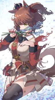 1girl absurdres animal_ears aston_machan_(flare)_(umamusume) aston_machan_(umamusume) black_bow black_bowtie black_thighhighs bow bowtie breasts brown_hair brown_tail covering_own_mouth crown dress fingernails flower gasatsuneo green_eyes hair_ornament hair_scrunchie highres holding holding_flower horse_ears horse_girl horse_tail large_breasts looking_at_viewer mini_crown mixed-language_commentary nail_polish one_side_up red_nails red_sash red_scrunchie red_sleeves sash scrunchie shoulder_sash solo tail thighhighs thighs tilted_headwear umamusume white_dress