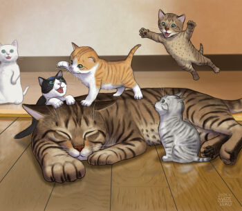 animal animal_focus artist_name baby_animal cat dated highres indoors jumping kitten lying matataku no_humans on_floor original playing realistic signature sitting standing surprised_cat_(matataku) wooden_floor