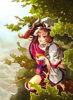 branch brown_eyes brown_hair in_tree kunoichi_(sengoku_musou) ninja ponytail sengoku_musou shawl side_ponytail sitting sitting_in_tree tree