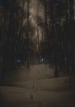 commentary english_commentary footprints forest highres monochrome nature night no_humans original quiet_victories scenery snow tree winter