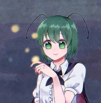 1girl animal_on_finger antennae black_cape cape center_frills commentary fireflies frills green_eyes green_hair looking_at_animal shirt short_sleeves smile solo tohokune touhou two-sided_cape two-sided_fabric upper_body white_shirt wriggle_nightbug