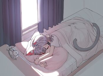 1girl alarm_clock animal_ears bed cat_ears cat_girl cat_tail clock closed_eyes curtains extra_ears grey_hair highres hugging_object indoors lying multicolored_hair neneko_mashiro on_bed on_side pillow pillow_hug red_hair shirt short_hair short_sleeves sleeping sseonyu stellive streaked_hair sunlight tail under_covers virtual_youtuber white_shirt window