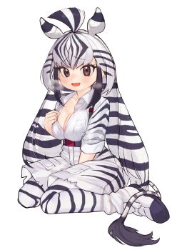 1girl a888_n22 absurdres animal_ears animal_print belt between_legs black_hair breast_pocket breasts breath brown_eyes cargo_shorts chapman&#039;s_zebra_(kemono_friends) collared_shirt commission extra_ears flashing full_body furrowed_brow hand_between_legs hand_up highres kemono_friends kemono_friends_3 leggings long_hair looking_at_viewer medium_breasts multicolored_hair open_mouth pocket print_leggings print_shirt print_shorts shirt shirt_tucked_in shoes shorts simple_background sitting skeb_commission smile solo striped_hair suspenders twintails two-tone_hair very_long_hair wariza white_background white_hair wing_collar zebra_ears zebra_girl zebra_print zebra_tail
