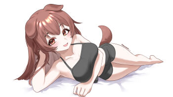 1girl absurdres animal_ears bare_arms bare_legs black_bra black_shorts blush bra breasts brown_hair collarbone commentary_request dog_ears dog_girl dog_tail hair_between_eyes highres hololive inugami_korone large_breasts long_hair mazellan midriff open_mouth orange_eyes short_shorts shorts simple_background smile solo tail underwear virtual_youtuber white_background