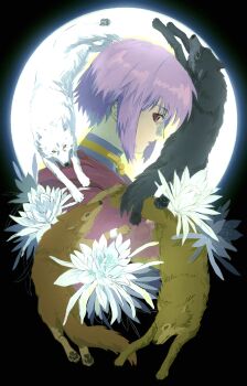 1girl absurdres black_sclera cheza_(wolf's_rain) closed_mouth colored_sclera flower from_side full_moon grey_wolf hige_(wolf's_rain) highres kiba_(wolf's_rain) mauvh moon moon_behind_head purple_hair red_eyes short_hair toboe_(wolf's_rain) tsume_(wolf's_rain) white_flower white_wolf wolf's_rain