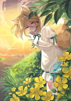 1girl animal_ears arms_behind_back blonde_hair blurry buttercup_(flower) cloud commentary_request depth_of_field feet_out_of_frame flower foliage fox_ears fox_tail grass green_ribbon highres knees kudamaki_tsukasa leaf looking_at_viewer medium_hair mountainous_horizon outdoors parted_lips ribbon romper sky smile socks solo sunrise tail touhou wankosoba_(wanwan_soba) white_romper white_socks yellow_eyes yellow_flower yellow_sky