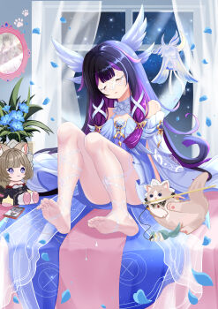 1girl absurdres animalization barefoot black_hair blue_petals cat character_doll chinese_commentary columbina_(genshin_impact) commentary_request doll dress falling_petals feet genshin_impact highres indoors long_hair multicolored_hair petals portrait_(object) purple_hair sandrone_(genshin_impact) sitting soles solo stuffed_toy toes two-tone_hair very_long_hair white_dress window zhui_ming_ying_xue