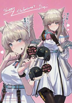 Rule 34 | 1boy, 2girls, absurdres, animal ears, arknights, arknights: endfield, bare shoulders, bird ears, bird girl, black pantyhose, blue eyes, blush, box, breasts, chibi, chibi inset, closed mouth, commentary request, dress, dual persona, endministrator (arknights), female endministrator (arknights), food, food on face, gift, gift box, hand fan, hand fan writing, happy valentine, head only, heart, heart-shaped box, highres, holding, holding fan, holding gift, jacket, male endministrator (arknights), medium breasts, multiple girls, multiple views, nose blush, off shoulder, open clothes, open jacket, outline, pantyhose, paper fan, perlica (arknights), pink background, short dress, simple background, sleeveless, sleeveless dress, smile, split mouth, sweatdrop, translation request, twitter username, uchiwa, valentine, white dress, white jacket, white outline, wn (wani-noko), yellow pupils