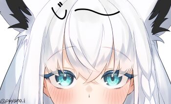 1girl animal_ears aqua_eyes blush close-up commentary_request cropped_head crossed_bangs fox_ears fox_girl hair_between_eyes hololive looking_at_viewer payano_i shirakami_fubuki simple_background solo straight-on twitter_username virtual_youtuber white_background white_hair